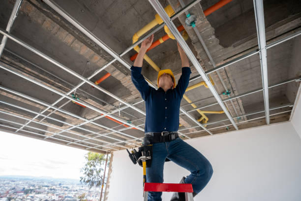 Best Plumbing Repair Near Me  in Lockney, TX